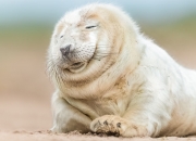 雷火电竞-双重压力下的唯一绽放