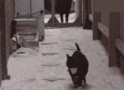 雷火电竞亚洲先驱-赛道弧线与球场魔咒，当迪巴拉的左脚统治F1之夜