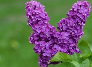 雷火电竞网站-当航天城的引擎熄灭，哈登火焰独舞，迈阿密热浪宣告秩序的唯一性