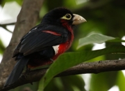 雷火电竞网站-丹麦0-3葡萄牙，佩德里数据全面爆炸，超越数据的唯一性答案