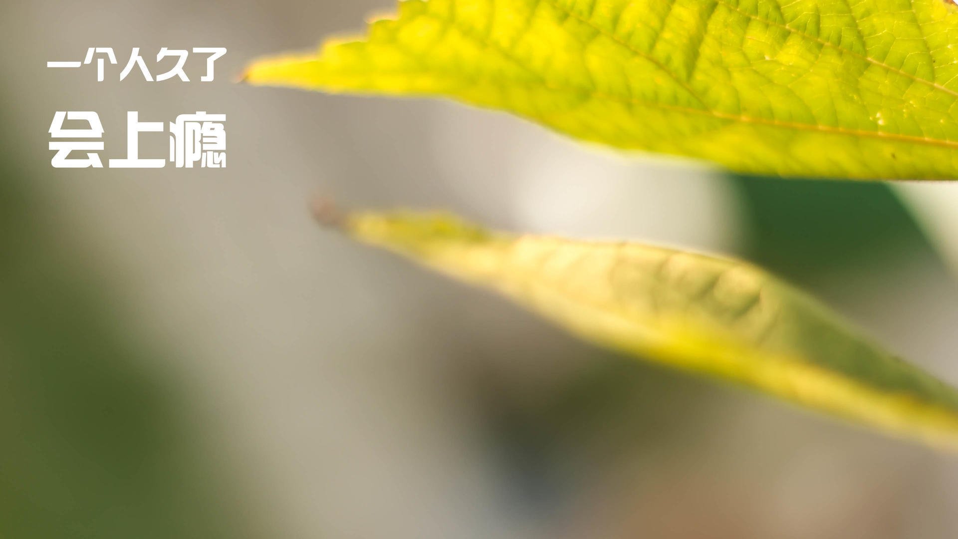 西甲国家德比之夜，富安健洋的双重战场，当维尼修斯在右路熄火时，亚洲铁闸正铸造历史